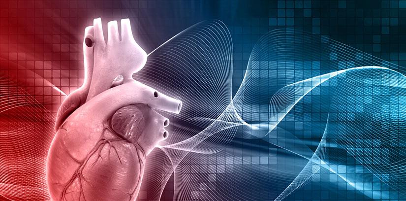 Who Offers the Best Cardiac, Orthopedic & Women's Health Treatment in Udaipur Under One Trusted Hospital? 